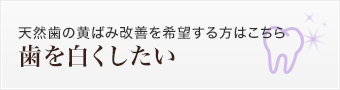 天然歯の黄ばみ改善を希望する方はこちら 歯を白くしたい（ホワイトニング）